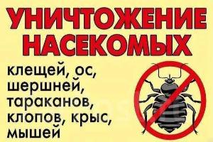 Уничтожение тараканов и клопов, муравьев. Дезинфекция и фумигация Барнаул Город Барнаул