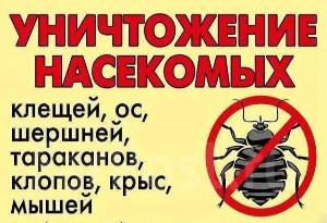 Уничтожение тараканов и клопов, муравьев. Дезинфекция и фумигация Барнаул Город Барнаул 8T3PR.jpg
